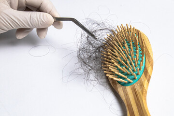 Hair loss experts wear gloves using forceps pick up hair from brush for examination. On a white background with copy space.