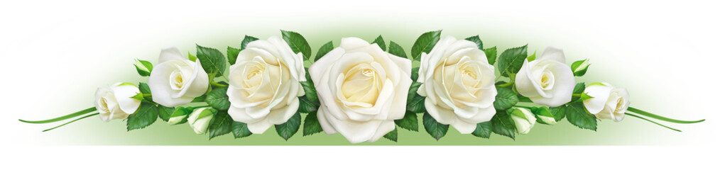 White roses