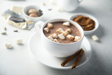 Obraz na płótnie Canvas Traditional hot chocolate with marshmallow
