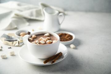 Traditional hot chocolate with marshmallow