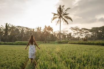 Fototapeta premium Back view young torist woman walking among rice field during sunset, foward t the palm tree. Vacation and travel Bali concept