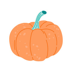 Pumpkins concept, organic vegetables squash. Vector illustration in flat cartoon style on isolated white background. 