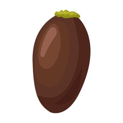 Seed lychee vector icon.Cartoon vector icon isolated on white background seed lychee.