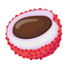Lychee vector icon.Cartoon vector icon isolated on white background lychee.