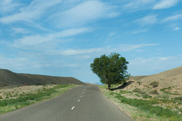 A road going to the mountains. One tree on a route