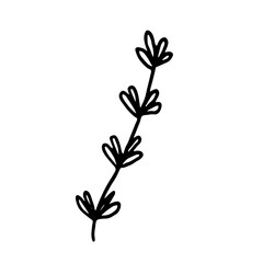 Botanical vector illustration of single herbal element. Ink drawing in Doodle style. Isolated object on a white background. Decorative element for spring and summer design, wedding, vignettes.
