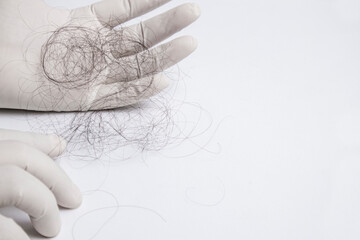 Hair experts wear gloves on both sides and  pick up hair fall for check up on white background. With copy space. Hair fall problem concept.