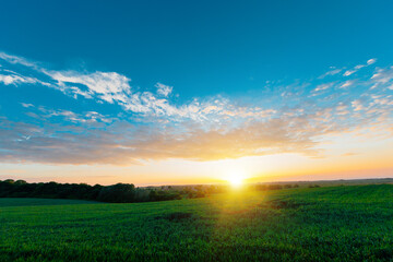 Naklejka na ściany i meble Beatiful morning green field with blue heaven