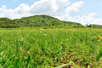 The Mountain in India landscape photo.