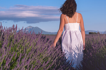Fototapeta na wymiar Summertime in lavender. Young beautiful woman in lavender flowers field at sunset in white dress. Provence. France.