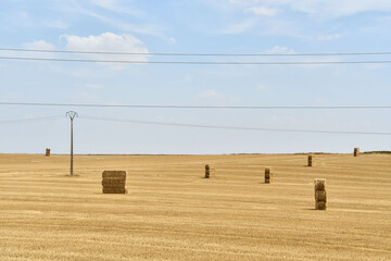 spanish landscape view of european countryside rural area in castilla y leon burgos spain.