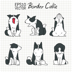 Cute Border Collie Dog - 360427109