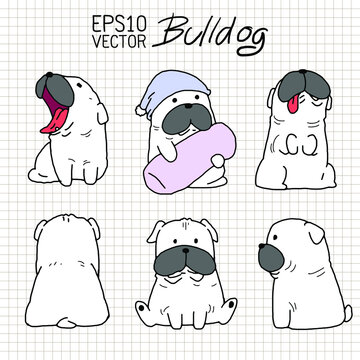Cute Bulldog doodle