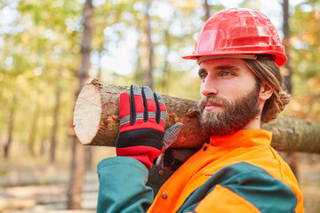 Forest worker while carrying tree trunk