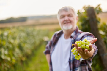 Winzer presents selection of white grapes