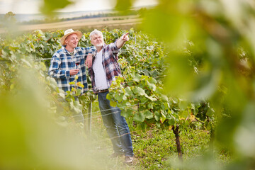 Two winegrowers in the vineyard drink a glass of red wine