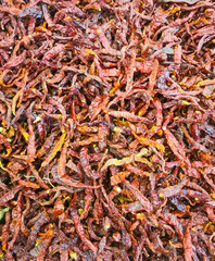 This is an image of dry chilies. 