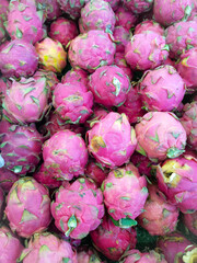 This is an image of dragon fruit.