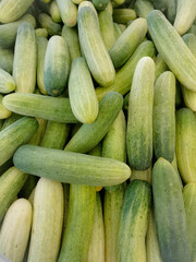 This is an image of fresh cucumbers.