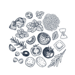 Tasty basil, tomato, olive, garlic, meat and pasta linear elements. Engraved illustration. Italian ingredients. Vector illustration