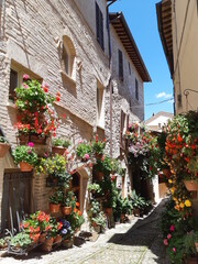 Fototapeta na wymiar street in provence