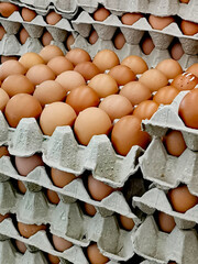 This is an image of eggs.