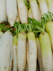 This is an image of daikon.