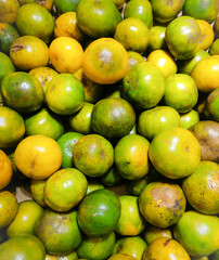 This is an image of green mandarin oranges.