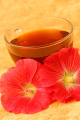 Hollyhock infusion. Althaea rosea.