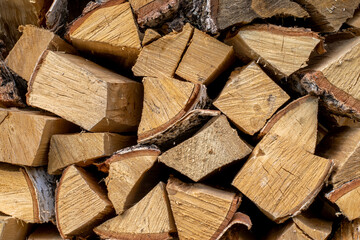 Structure of wood in the woodpile