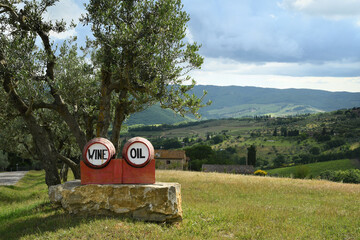 olive trees and cloudy sky in the Tuscan countryside. Chianti Classico wine and Olive oil...