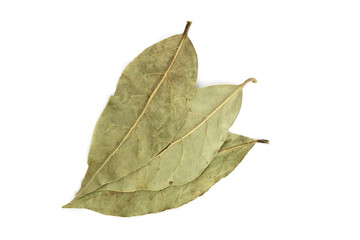 Fototapeta premium Bay leaves isolated on white