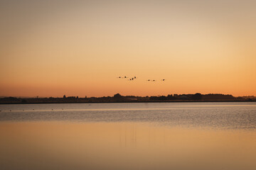 Naklejka premium sunset over the river