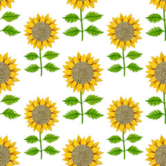 Sunflower watercolor seamless pattern on a white background.