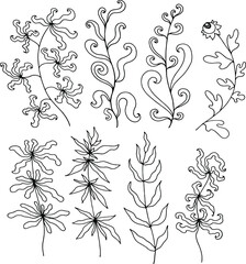 black and white set with flowers and plants