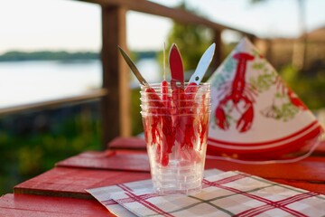 Getting ready for Crayfish party with hats and decorative glasses