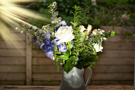 Elegant flowers arrangement with roses, delphiniums, orchids, and greens in the spotlight of a last sunbeam in the dark garden