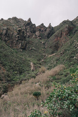 Aerial View of Tenerife overlooking a green mountain valley with a ocean view