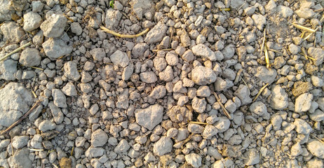 Pattern or texture of dry land