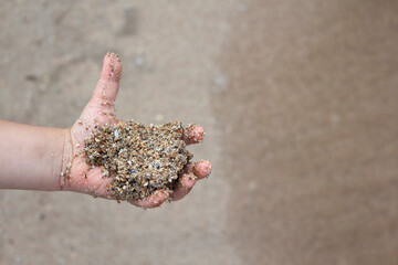 A child's hand holds sea sand with shells. Texture of a small shell. The lifting of the quarantine. Vacation in summer 2020. Children's games on the sea. Copy space