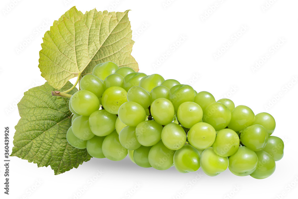 Wall mural fresh green grape with leaves isolated on white. shine muscat grape on white with clipping path.