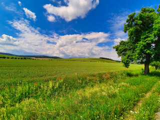 Thüringer Landschaft Acker Feld Grüne Wiese