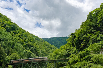 新緑の中の鉄橋を渡るローカル列車