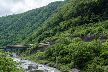 Fototapeta na wymiar 新緑の飛騨川沿いをゆくローカル列車