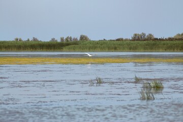 Vylkove, Ukraine: The Danube Biosphere Reserve