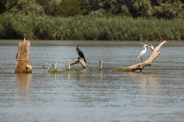 Vylkove, Ukraine: The Danube Biosphere Reserve
