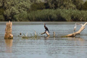 Vylkove, Ukraine: The Danube Biosphere Reserve