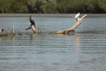 Vylkove, Ukraine: The Danube Biosphere Reserve