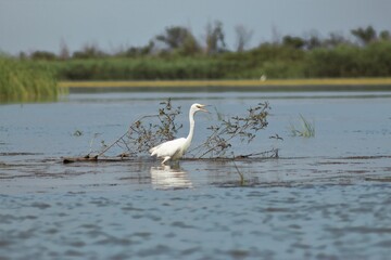 Vylkove, Ukraine: The Danube Biosphere Reserve