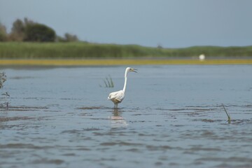 Vylkove, Ukraine: The Danube Biosphere Reserve
